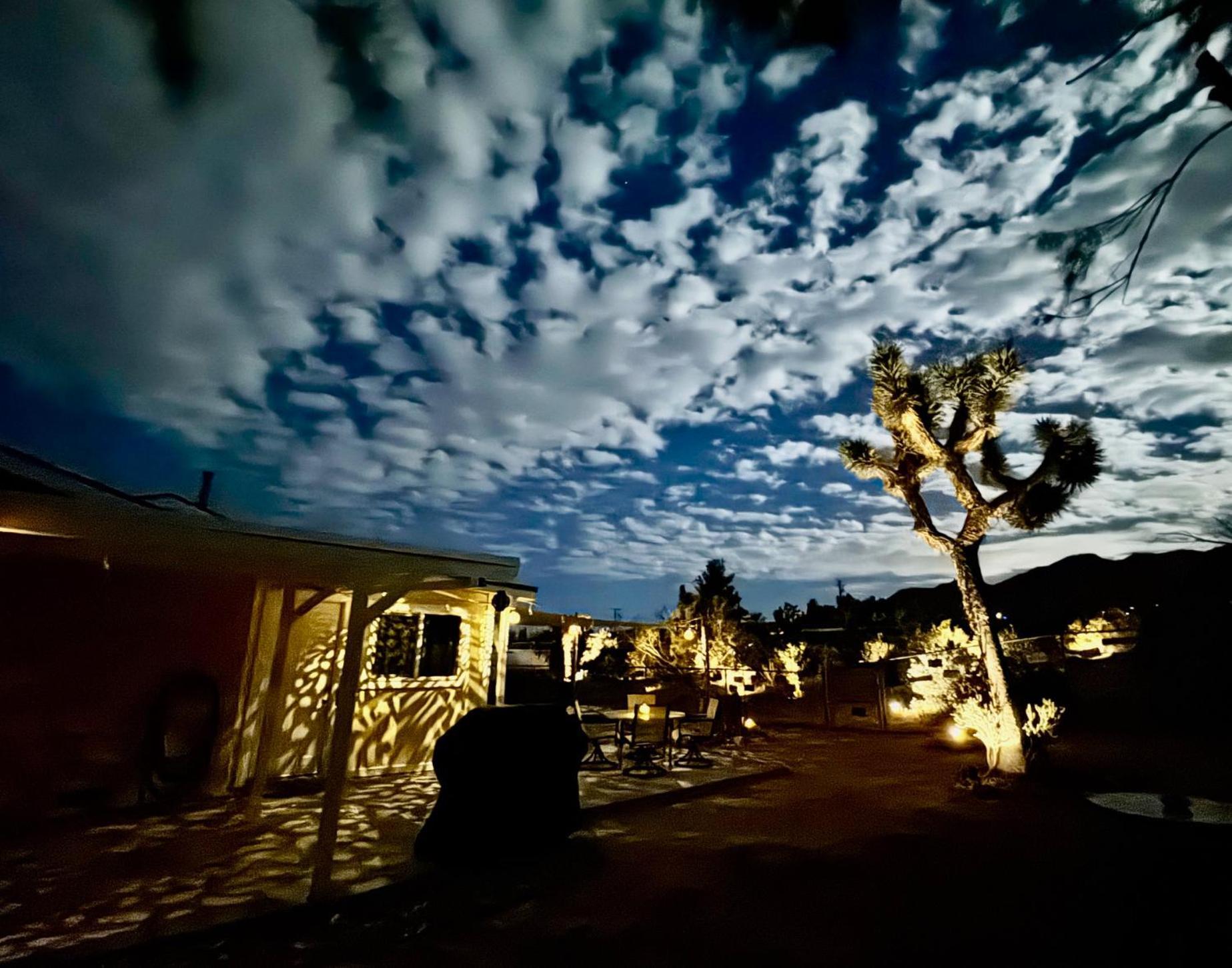 Float Pool, Hot Tub, Sauna, Views, Telescope-Skywatchers Haven Joshua Tree Eksteriør billede