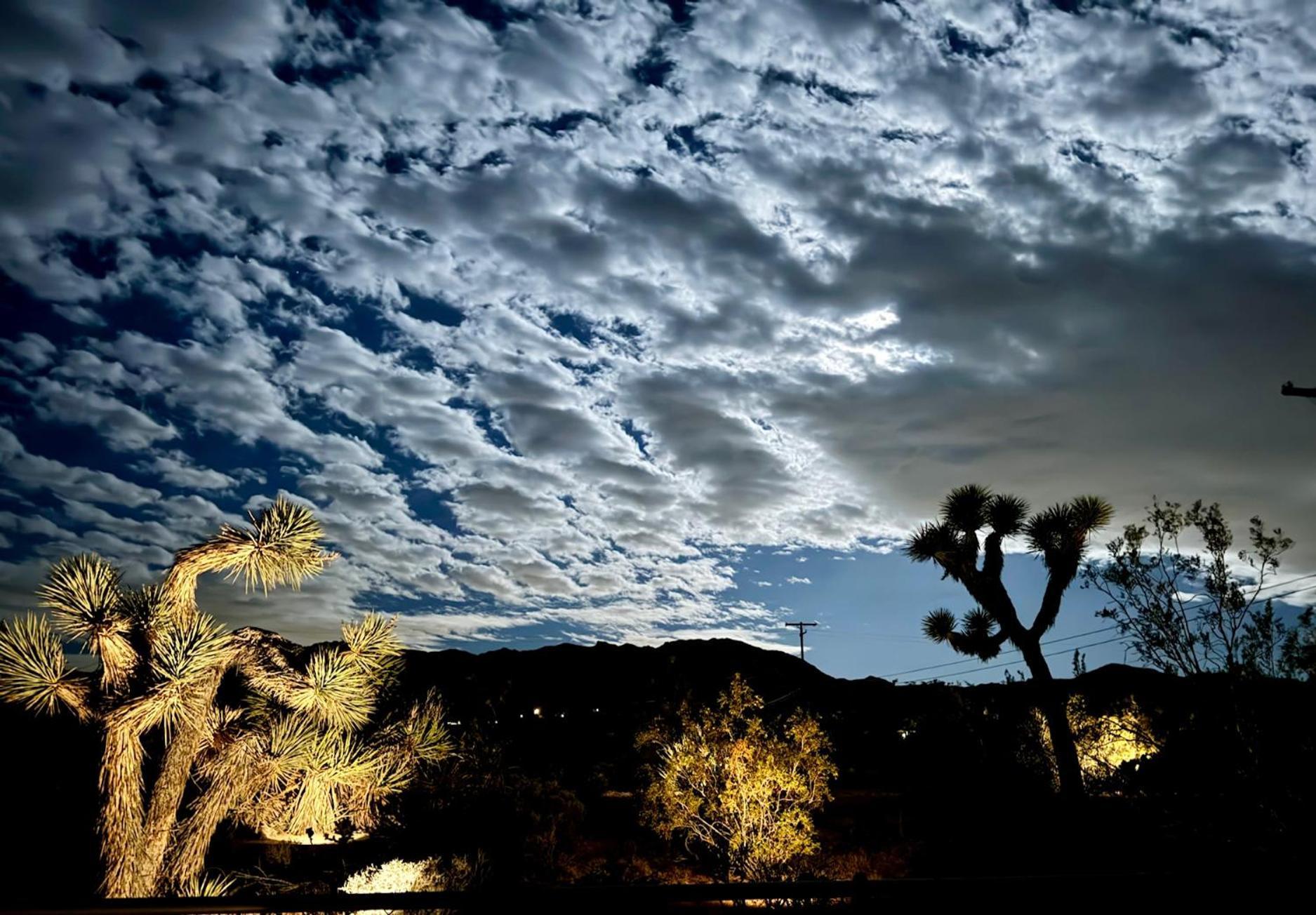Float Pool, Hot Tub, Sauna, Views, Telescope-Skywatchers Haven Joshua Tree Eksteriør billede