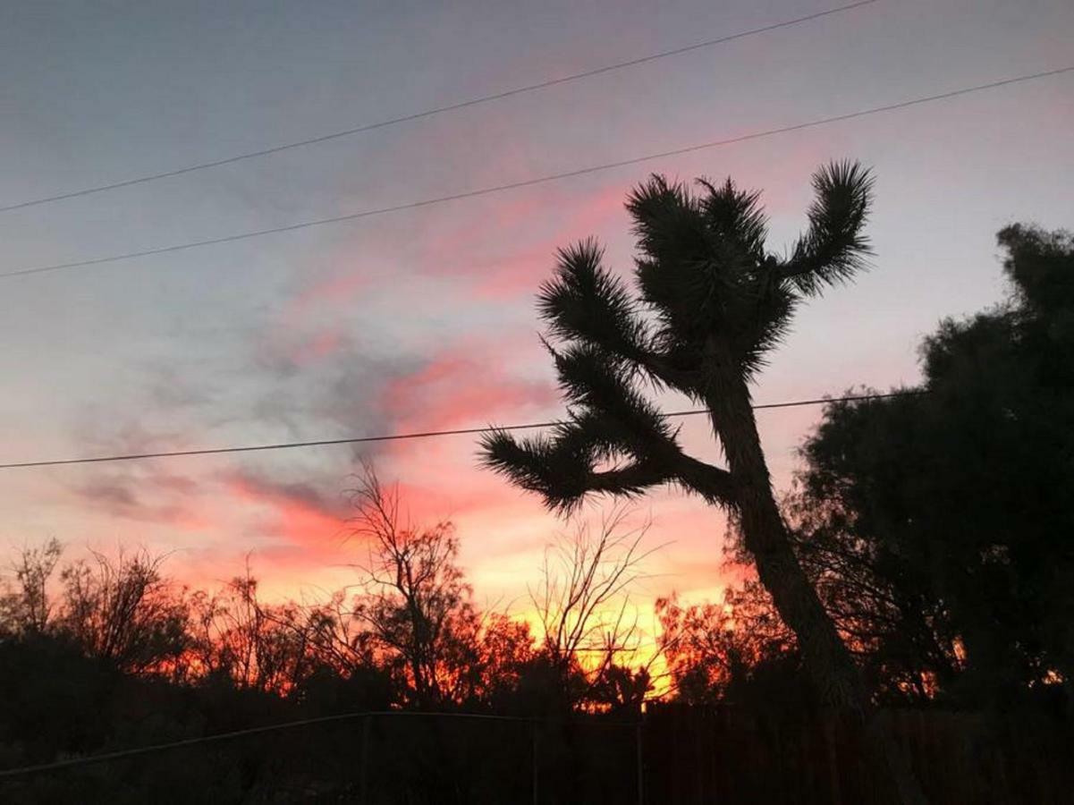 Float Pool, Hot Tub, Sauna, Views, Telescope-Skywatchers Haven Joshua Tree Eksteriør billede