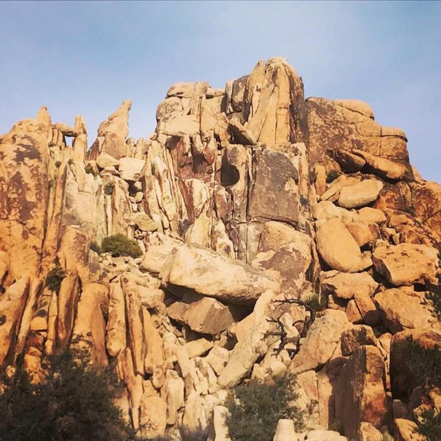 Float Pool, Hot Tub, Sauna, Views, Telescope-Skywatchers Haven Joshua Tree Eksteriør billede